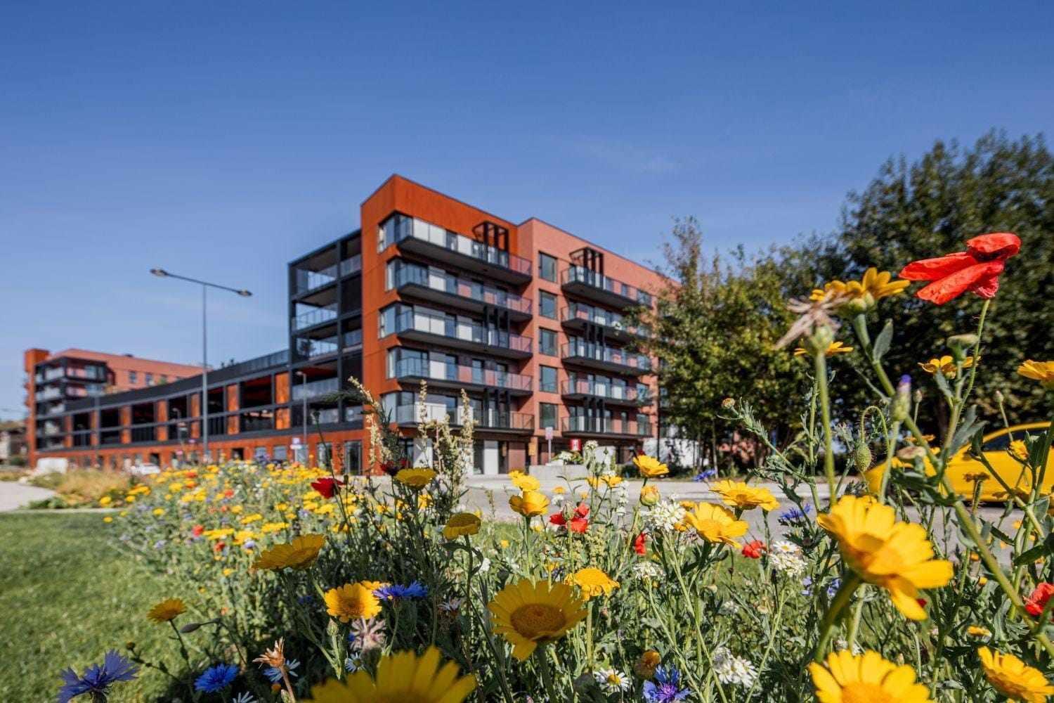 Apartament Nadmotlawie 34 Gdansk Dış mekan fotoğraf